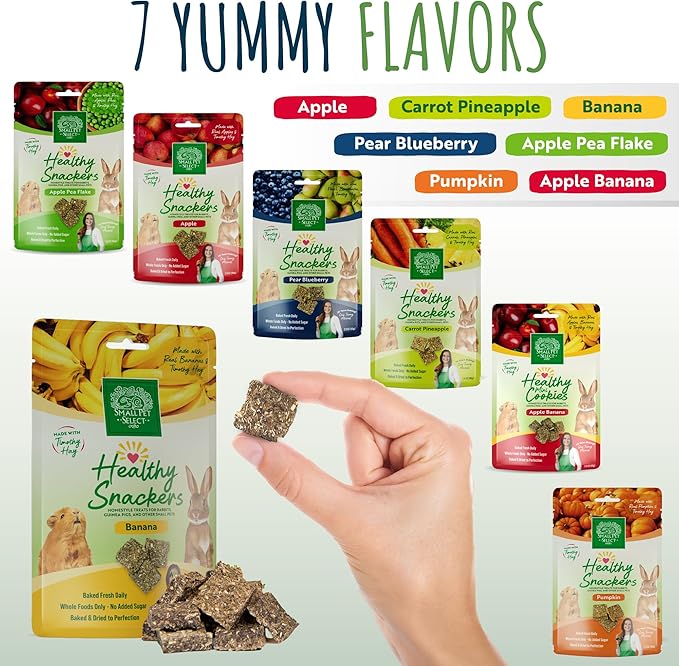 Small Pet Select - Healthy Snackers - Banana
