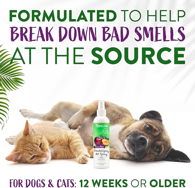 TropiClean Dog Perfume, Long Lasting Plum Cologne, Deodorizing Spray for Smelly Dogs, After Bath Detangling Spray with Vitamin E, Safe for Cats, 8oz.