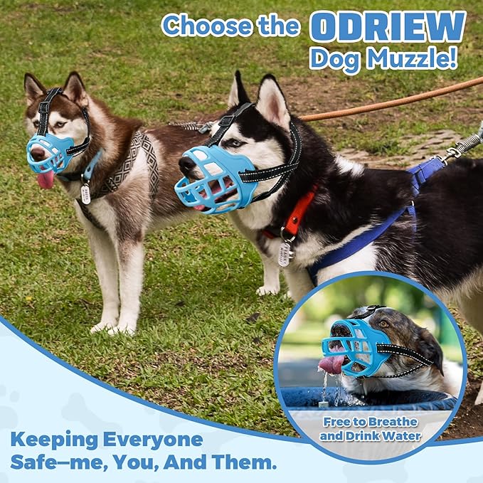 Dog Muzzle for Large Dogs, Breathable Basket Muzzles for Small, Medium and X-Large Aggressive Dog, Allows Panting Drinking, Suitable for Grooming Trimming Training (4, Luminous Blue)