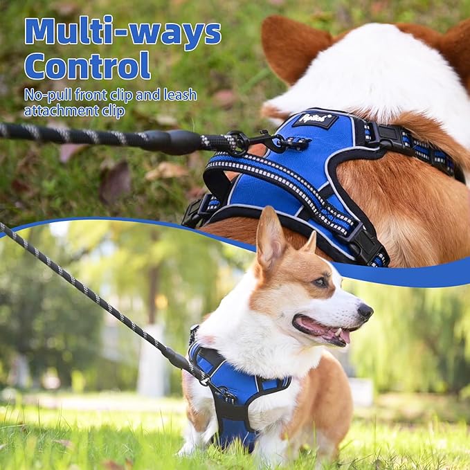 PUPTECK No Pull Dog Harness for Large, Adjustable Reflective Dog Harness with Handle Easy Control, Comfortable Soft Padded Pet Vest Harness for Large Dogs, Blue L