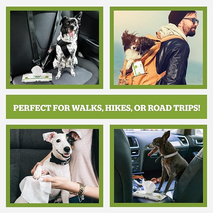 Pogi’s Dog Wipes Travel Packs – Hypoallergenic Pet Wipes for Paws, Body & Butt – Cleaning & Hydrating, Green Tea Scent, 120-Count