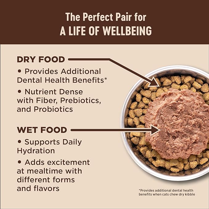Wellness CORE+ Adult Dry Cat Food for Indoor and Outdoor Cats, Wholesome Grains, Natural, Digestive Health Chicken & Rice (5 Pound Bag)