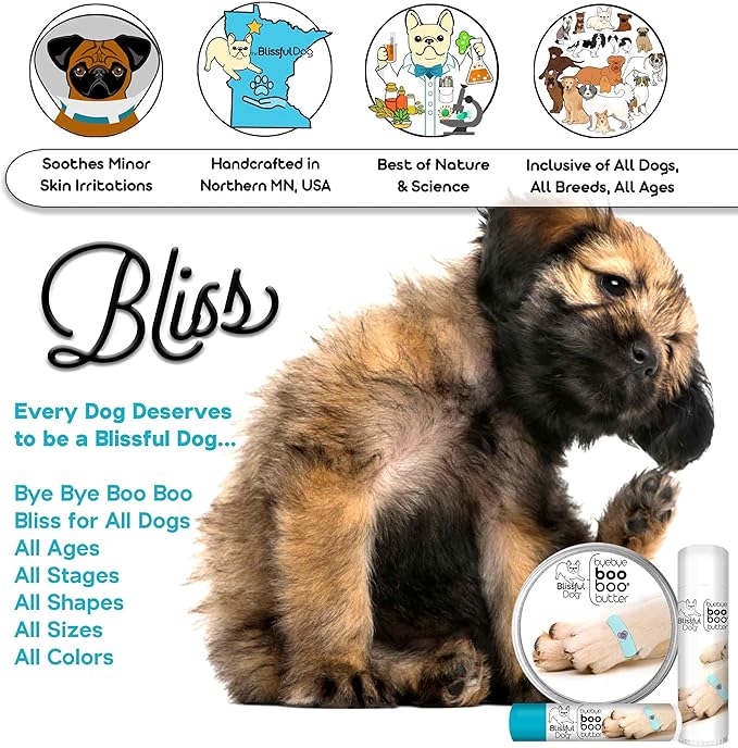 The Blissful Dog Icelandic Sheepdog Boo Boo Butter, 8 Ounce
