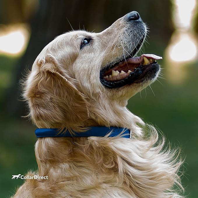CollarDirect Rolled Leather Dog Collar, Soft Padded Round Puppy Collar, Handmade Genuine Leather Collar Dog Small Large Cat Collars 13 Colors (15-19 Inch, Deep Blue Textured)