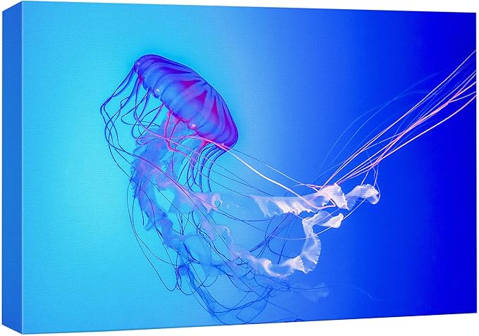 wall26 Canvas Print Wall Art Vibrant Neon Blue Pink Jellyfish Deep Sea Nature Animals Photography Realism Rustic Scenic Landscape Wilderness Earth Colorful for Living Room, Bedroom, Office - 16"x24"
