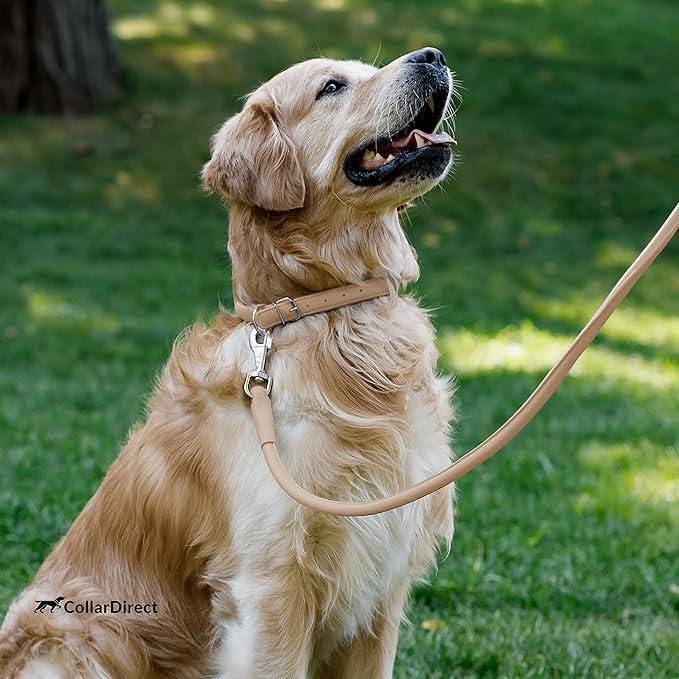 CollarDirect Rolled Leather Dog Collar, Soft Padded Round Puppy Collar, Handmade Genuine Leather Collar Dog Small Large Cat Collars 13 Colors (15-19 Inch, Beige Textured)