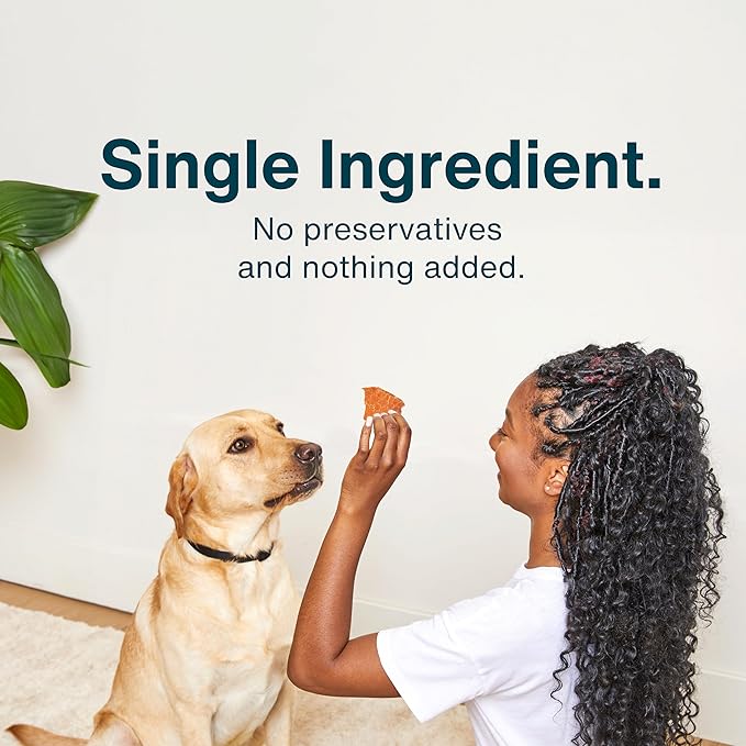 JustFoodForDogs Healthy Dog Treats, Single-Ingredient, Chicken Breast, 2.5 oz (Pack of 4)