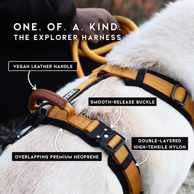 MADE TO ROAM Premium Explorer Harness - Y-Shaped Dog Harness with Adjustable Durable Nylon, Soft Padding, Metal Buckles and Leather Handle for Small, Medium, Large Dogs (Montana Moonrise, Size 3)