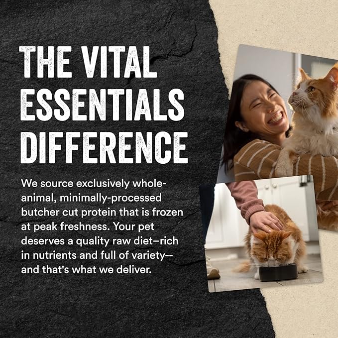 Vital Essentials Chicken Hearts Cat Treats, 1 oz | Freeze-Dried Raw | Single Ingredient | Grain Free, Gluten Free, Filler Free