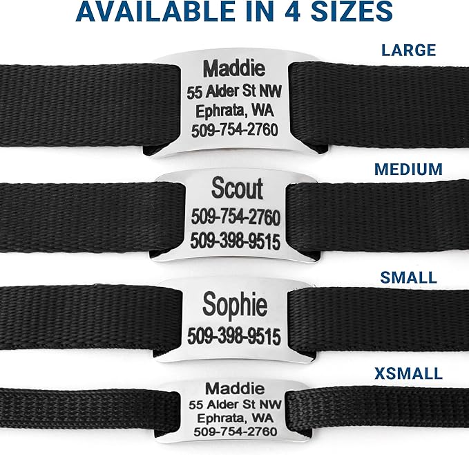 GoTags Personalized Dog Collar with Nameplate, Adjustable Dog Collar with Custom Engraved Slide On Pet ID Tag in Stainless Steel, Silent, No Noise Dog Tag for Large Medium and Small (Black, X-Small)