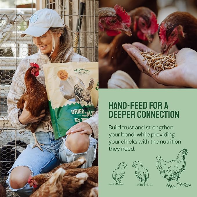 Bulk Dried Mealworms - 10 Lb Bag - Non-GMO Dried Mealworms for Chickens, Ducks & Wild Birds - High-Protein Chicken Feed & Bird Food