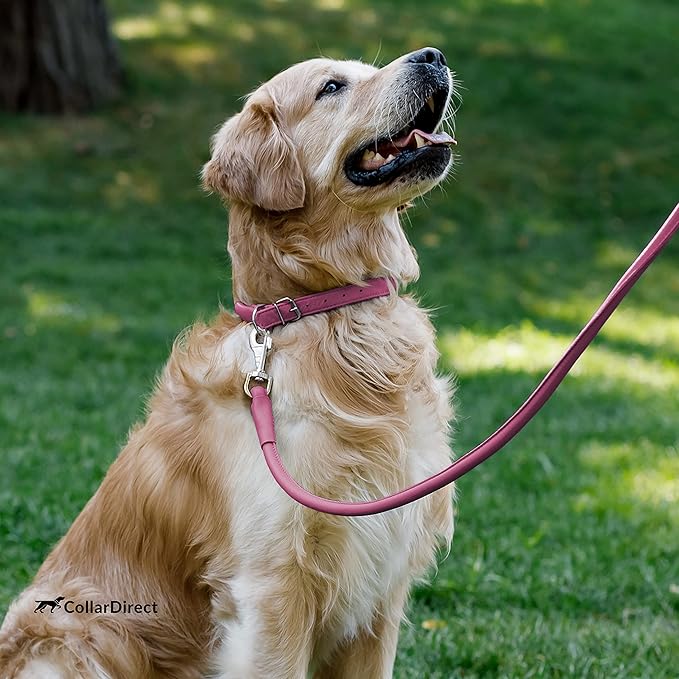 CollarDirect Rolled Leather Dog Collar, Soft Padded Round Puppy Collar, Handmade Genuine Leather Collar Dog Small Large Cat Collars 13 Colors (11-14 Inch, Pink Textured)