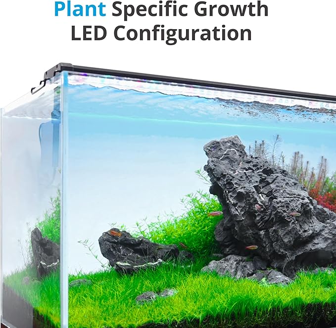 NICREW ClassicLED Plus LED Aquarium Light with Timer, 10 Watts, for 12 to 18 Inch Fish Tank Light, Daylight and Moonlight Cycle