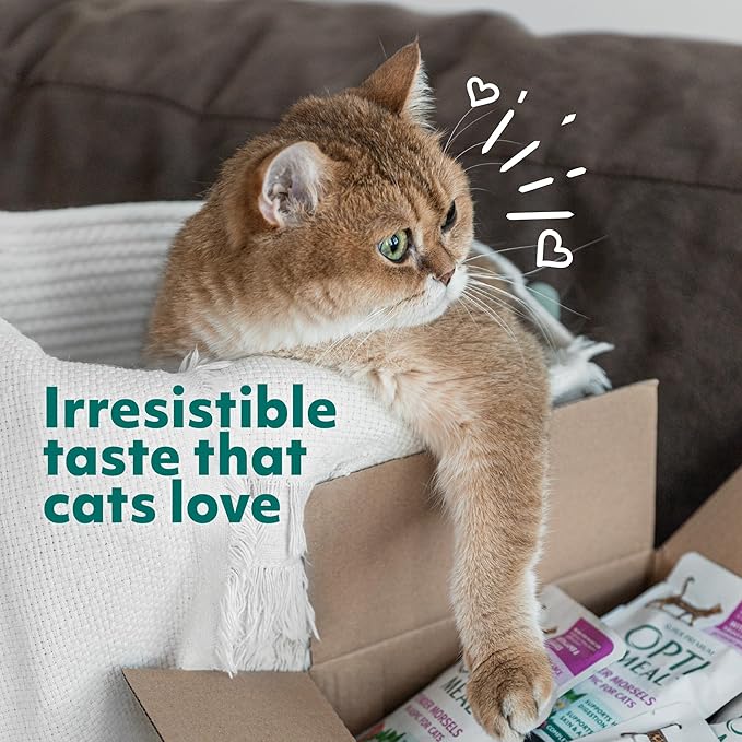 Optimeal Grain-Free Wet Cat Food – Shrimp & Salmon Recipe, High Protein & Moisture Rich Indoor Adult Cats Food, Tender Morsels in Savory Gravy Natural Ingredients - 3 oz Pouches, 12 Pack