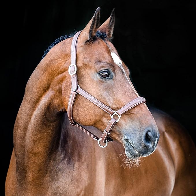 HORZE Warren Soft Adjustable Genuine Leather Horse Halter | Stainless Steel Hardware - Light Brown - Horse