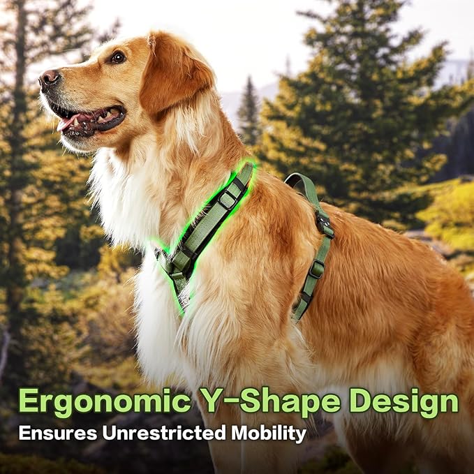 CLEPAWS Dog Harness for Large Dogs, No Pull Dog Harness Easy Walk with Metal Hardware, Ergonomic Y-Shaped Design, Soft Padding, Padded Handle, Durable High-Tensile Nylon (Evergreen, L)