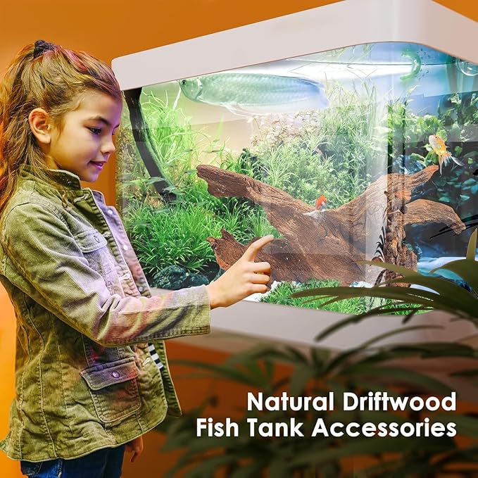 Natural Aquarium Driftwood for Fish Tanks & Reptile Terrariums – Safe Fish Tank Decorations, Unique Twisted Branches 2-Piece 10-14 Inch Low Tannin, Easy to Sink
