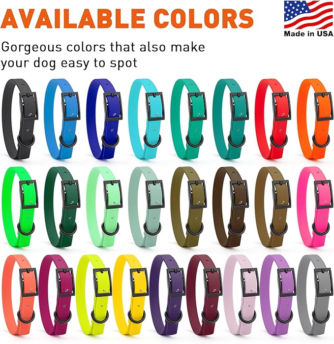 Dogline Biothane Waterproof Dog Collar Strong Coated Nylon Webbing with Black Hardware Odor- Proof for Easy Care Easy to Clean High Performance Fits Small Medium or Large Dogs, Treasure Gold