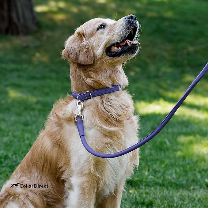 CollarDirect Rolled Leather Dog Collar, Soft Padded Round Puppy Collar, Handmade Genuine Leather Collar Dog Small Large Cat Collars 13 Colors (15-19 Inch, Purple Textured)