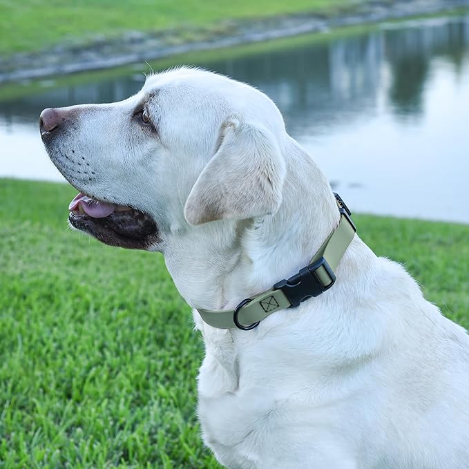 Dogline Biothane Waterproof Dog Collar with Quick Release Buckle Strong Coated Nylon Webbing with Odor- Proof for Easy Care Easy to Clean Fits Small Medium Large Dogs, Sage Green 1" W 15-23" L
