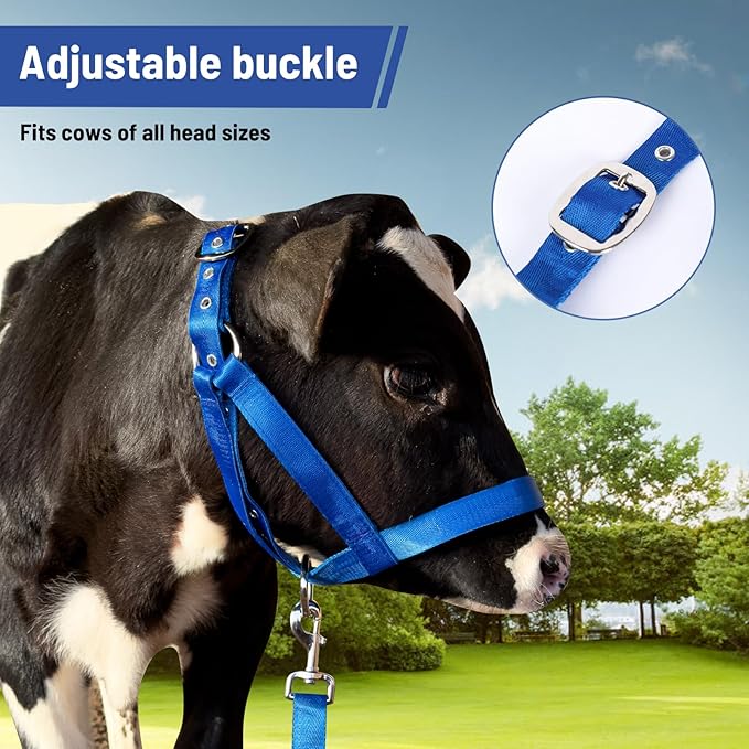 XUANNIAO Easily Adjustable Figure 8 Cow Halter, Double-Ply Premium Livestock Cattle Halters, Colorful Cow Utility Calf Halter with Leading Rope for Miniature Horse Donkey Goat Foal (Small, Black)