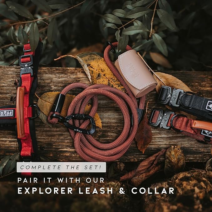 MADE TO ROAM Premium Explorer Harness - Y-Shaped Dog Harness with Adjustable Durable Nylon, Soft Padding, Metal Buckles and Leather Handle for Small, Medium, Large Dogs (Utah Glow, Size 1)