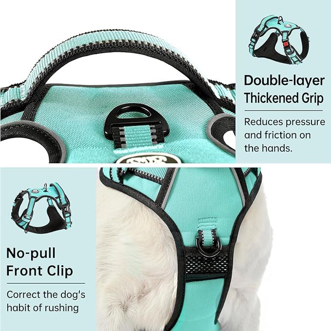 IVY&LANE No Pull Dog Harness with Leash Set, Reflective No Choke Pet Vest,Adjustable Oxford Dog Vest Harness with Easy Control Handle for Small Dogs (Turquoise,S)