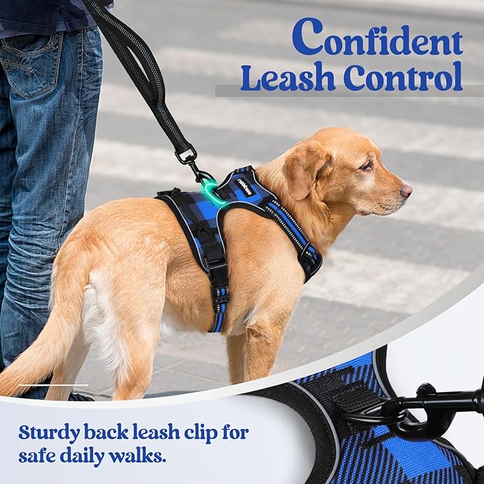 rabbitgoo Dog Harness No Pull with 2 Leash Clips, Adjustable Soft Padded, Reflective Oxford No Choke Pet Vest with Easy Control Handle for Medium Sized Dogs, Blue Plaid, M