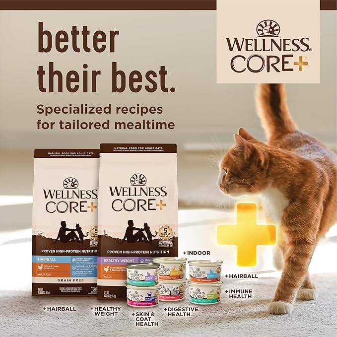 Wellness CORE+ Immune Health Pate Adult Wet Cat Food, Natural, Protein-Rich, Grain Free, 2.8 Ounce, 12 Pack (Tuna & Salmon)