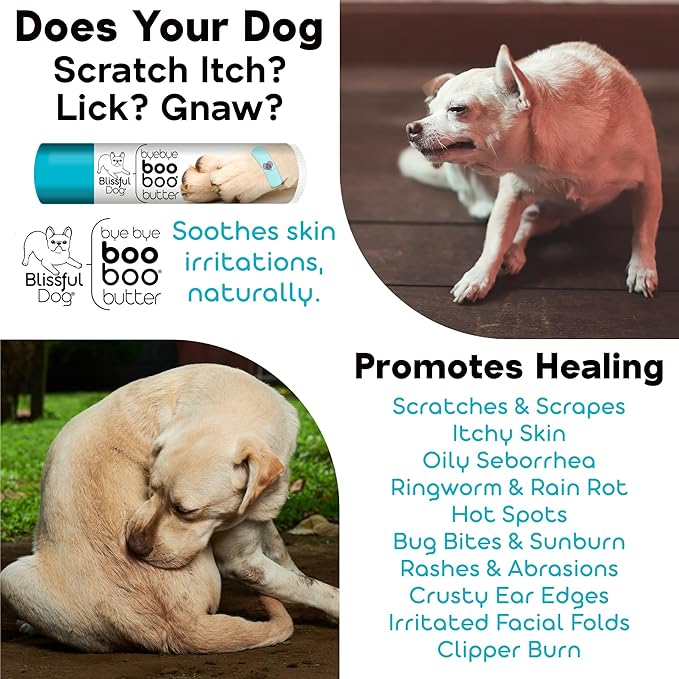 The Blissful Dog 8 oz TIN Basset Hound Booboo Butter