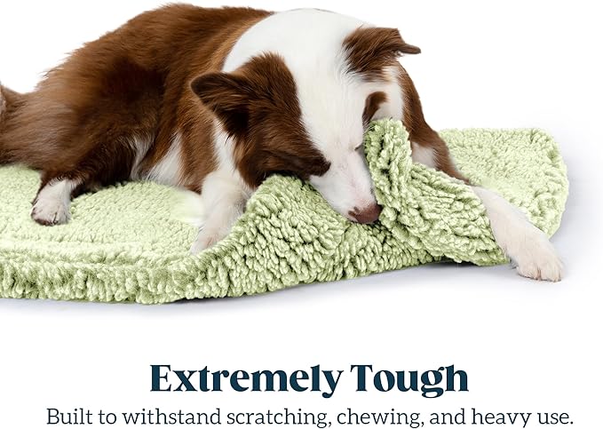 Stoutwool Indestructible Dog Bed - Fluffy Chew Proof Dog Crate Pad - Tough Kennel Pad for Aggressive Chewers - Washable, Ideal for Large Breeds & Fits 36-Inch Crate - 35"x22", Gleam