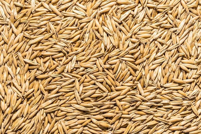 Thunder Acres Non GMO, Certified Organic, Oat Seed (1 lb.)