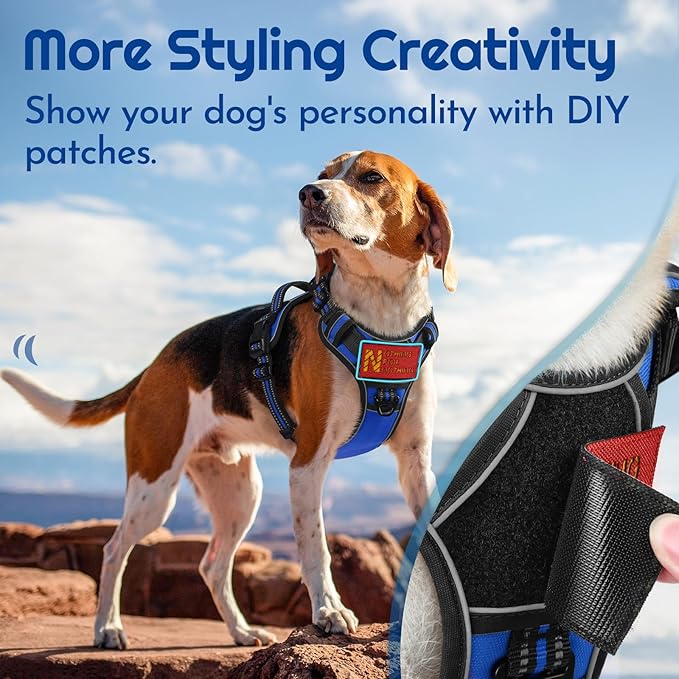 Eagloo Dog Harness Medium Sized, Easy Wearing with 3 Buckles, Adjustable No Pull Pet Harness with 2 Rings for Walking, No Chock Reflective Soft Padded Vest with Control Handle, Blue & Black, M