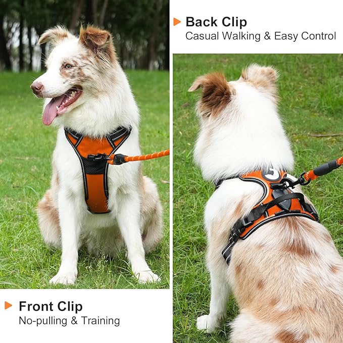 Taglory Light Up Dog Harness, Rechargeable No Pull Dog Vest with 3 Lightning Modes, Reflective Dog Harness with 2 Leash Clips & 4 Adjustable Slide Strips for Medium Dogs, Orange-Orange, M