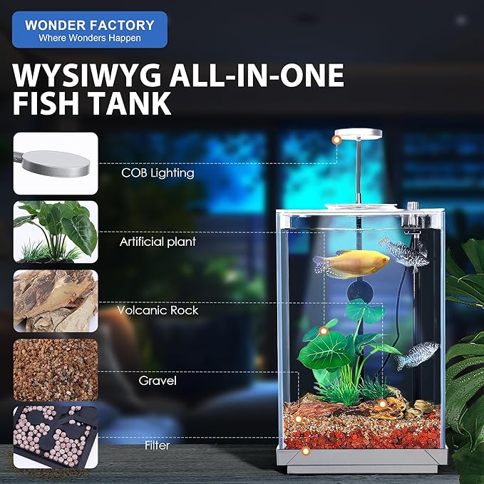 Wonderfactory 3 Gallon Aquarium Fish Tank, Self-Cleaning Betta Tank with Filter and Light, Starter kit with Rocks, Plants & Cleaning Tools, Suitable for Beginners and Hobbyists
