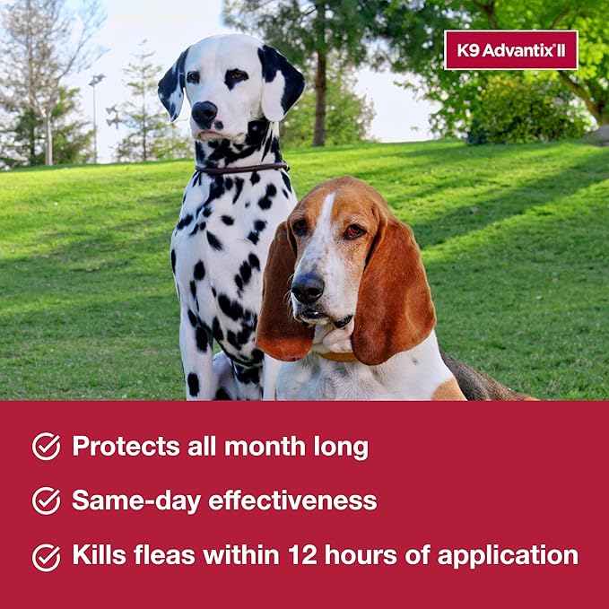 K9 Advantix II XL Dog Vet-Recommended Flea, Tick & Mosquito Treatment & Prevention | Dogs Over 55 lbs. | 4-Mo Supply (Pack of 2)