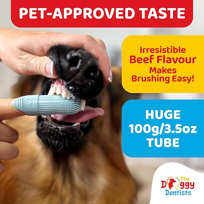 Vet Strength Pure Enzymatic Dog & Cat Toothpaste | 3.5oz Beef Flavor | Enzyme Pet Toothpaste for Tartar Removal, Bad Breath, Teeth Cleaning | Suitable for Puppies & Kittens