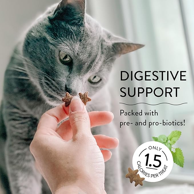Shameless Pets Celebration Birthday Crunchy Cat Treats Chicken and Catnip Treats with Digestive Support