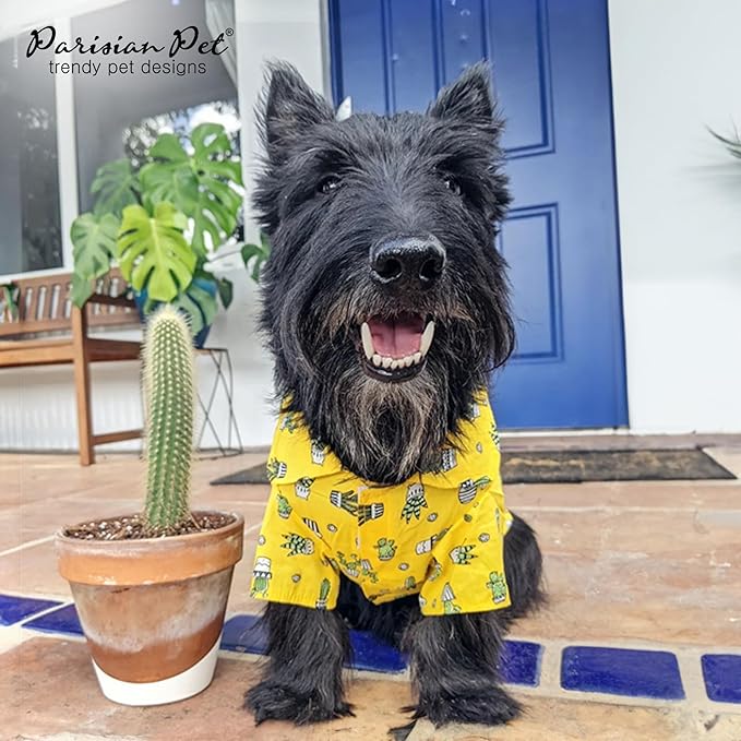 Parisian Pet Cactus Cap Dog Beach Outfit - 100% Cotton Summer Clothes - Stylish Dog Costume - Breathable, Cool, Machine Washable - XL3