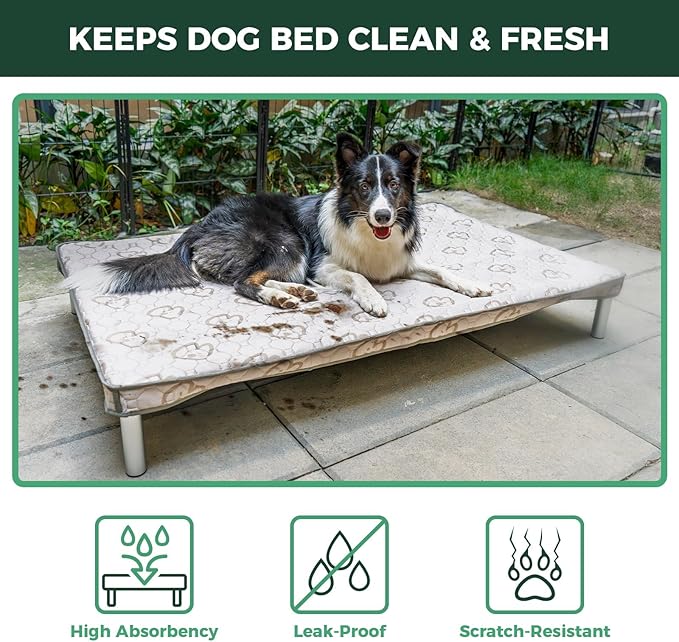 FXW TitanNest Chew-Proof Elevated Dog Bed, Raised Cot for Indoor/Outdoor/Camping Use, Durable & Washable Padded Pet Bed with Exclusive Reuseable Cover for Toy Dogs, 24.0" L x 20.0" W x 4.1" H, Gray