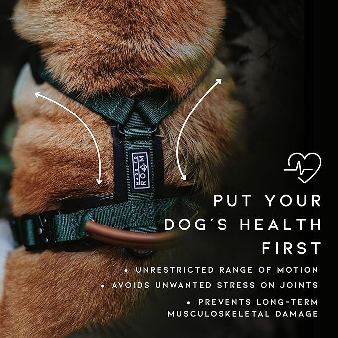 MADE TO ROAM Premium Explorer Harness - Y-Shaped Dog Harness with Adjustable Durable Nylon, Soft Padding, Metal Buckles and Leather Handle for Small, Medium, Large Dogs (Arizona Heartbeat, Size 7)