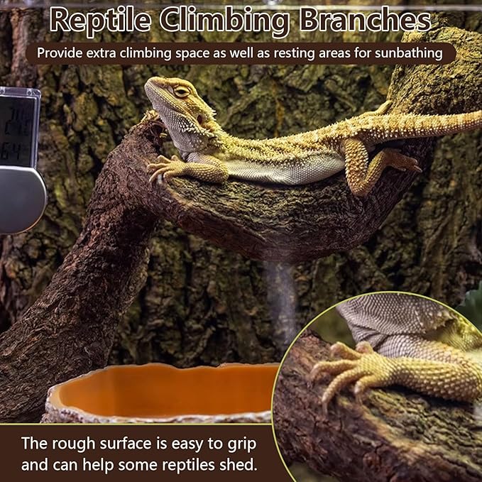 BNOSDM 2Pcs Reptile Climbing Branches Decor,Snake Climbing Branch,Gecko Climb Wood,Lizard Forest Branch,Tank Habitat Tree Trunk Decorations for Bearded Dragons,Chameleons,Spider,Frogs (M)