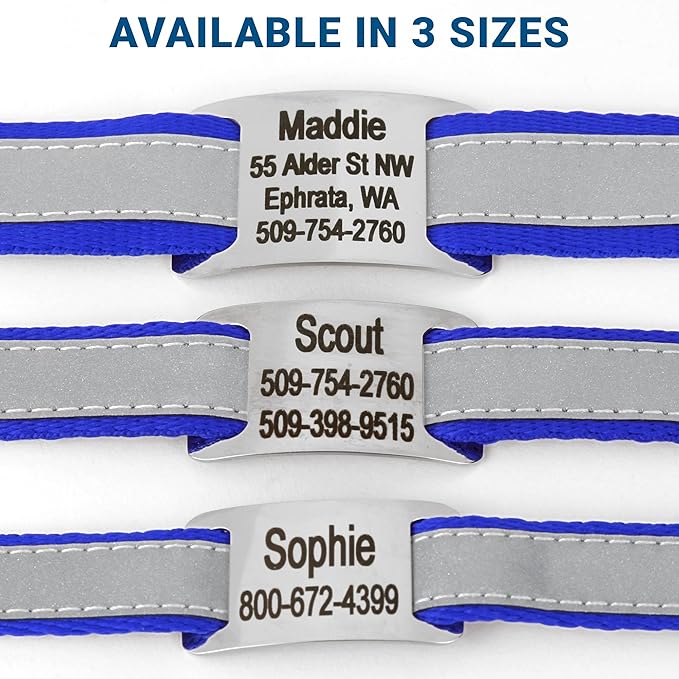 GoTags Reflective Personalized Dog Collar with Nameplate, Adjustable Dog Collar with Custom Engraved Steel Slide On Pet ID Tag, Silent, No Noise Dog Tag for Large Medium or Small (Blue, Small)