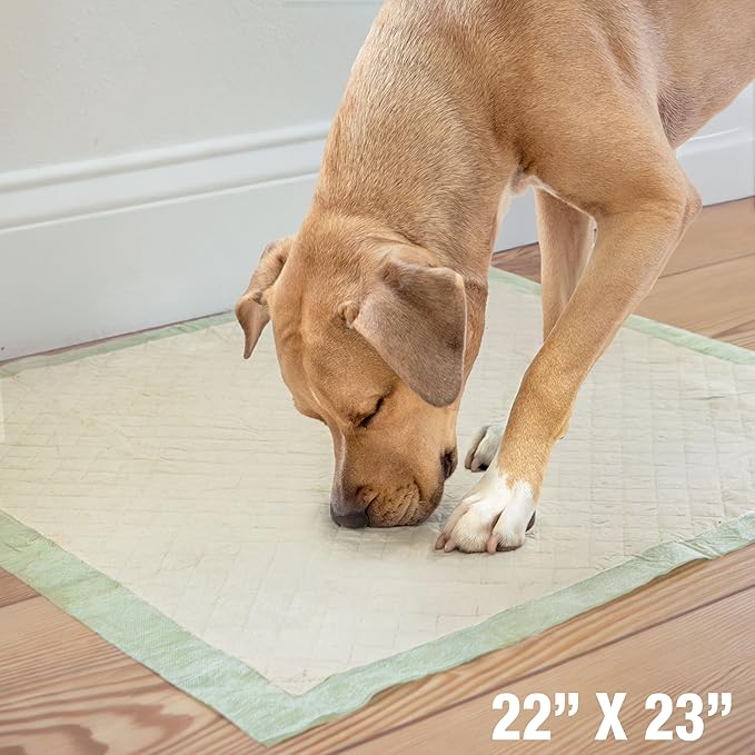 Four Paws Wee-Wee Superior Performance Bamboo Pee Pads for Dogs, Earth Friendly Dog & Puppy Potty Training Pads, Crate Liners, Housebreaking Supplies, 22" x 23" (14 Count)