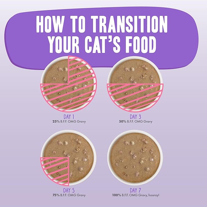 Weruva B.F.F. OMG - Best Feline Friend Oh My Gravy!, Seeya Sooner! with Chicken & Tuna in Gravy Cat Food, 2.8oz Pouch (Pack of 12)
