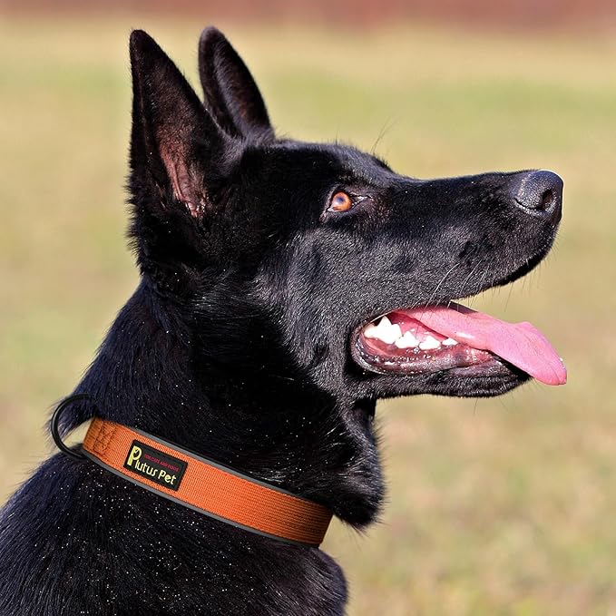 Plutus Pet Tactical Dog Collar, Reflective, Adjustable Heavy Duty Dog Collar, Soft Padded and Comfortable, for Small Medium and Large Dogs (Orange, S)