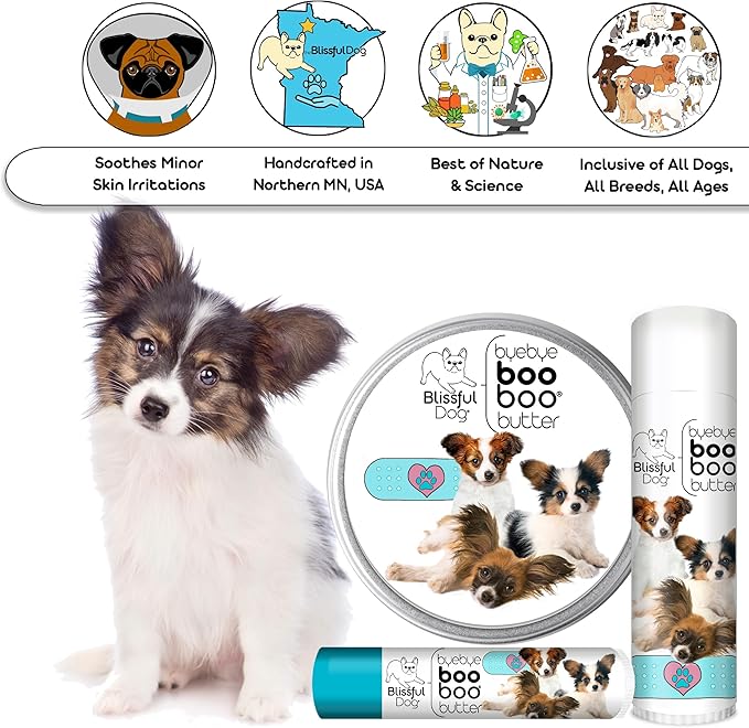 The Blissful Dog Papillon Boo Boo Butter, 1-Ounce