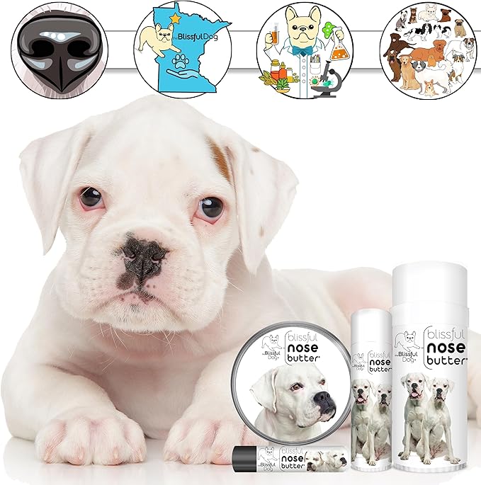 The Blissful Dog White Boxer Unscented Nose Butter - Dog Nose Butter, 16 Ounce
