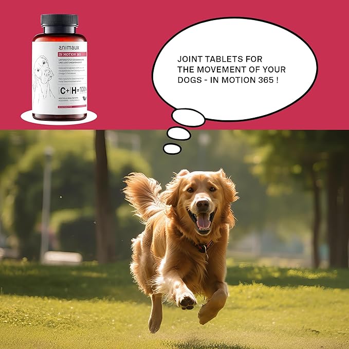 animaux – in Motion 365 for Dogs, Joints, Bones, Mobility, Ligaments and Tendons, Green-Lipped Mussel, Willow Bark and Devil’s Claw, Natural Pain Relief, 60 Chewable Tablets, 60 Days Supply