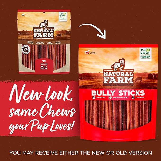 Natural Farm Odor-Free Thin Bully Sticks (6”, 10-Pack) All-Natural Long-Lasting Dog Chews, 100% Beef Pizzle, Grass-Fed, Grain-Free, Protein for Muscle Development & Energy, Perfect for Medium Chewers